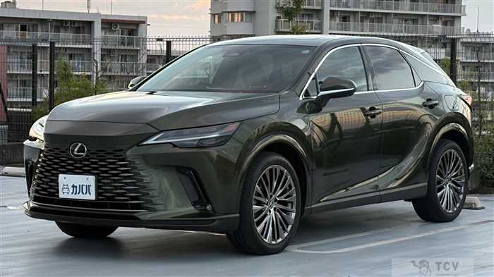 2024 Lexus RX