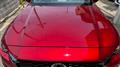 2022 Mazda Eunos Others