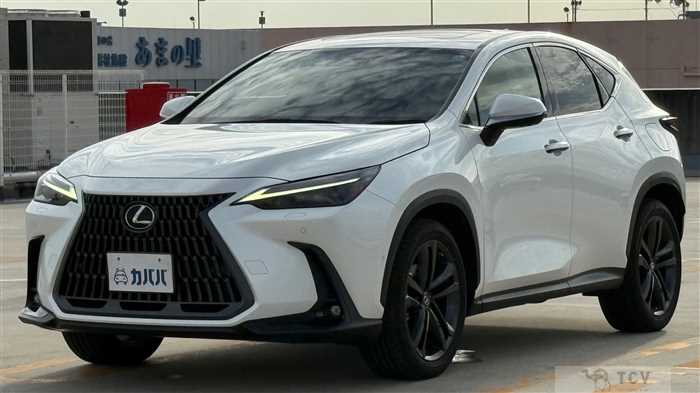 2023 Lexus NX