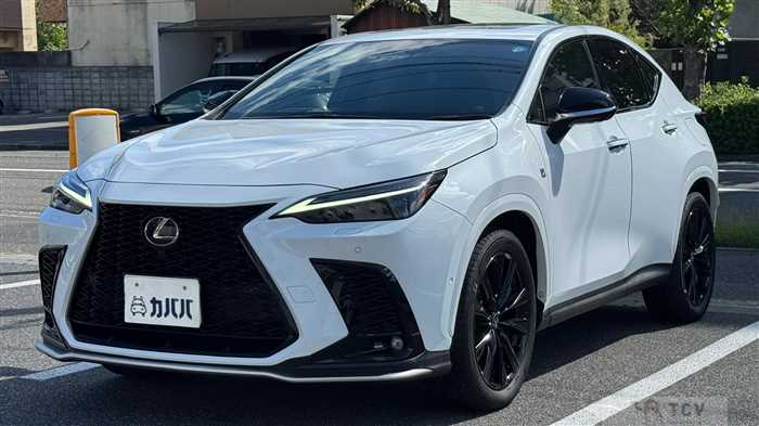2023 Lexus NX