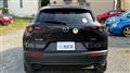 2022 Mazda Eunos Others