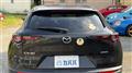2022 Mazda Eunos Others