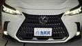 2022 Lexus NX