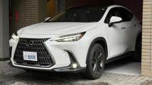 2022 Lexus NX