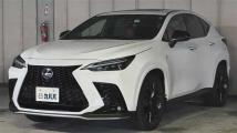 2022 Lexus NX