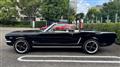 1991 Ford Mustang