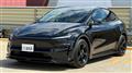 2025 Tesla Motors Others