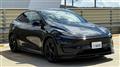 2025 Tesla Motors Others