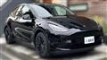 2022 Tesla Motors Others