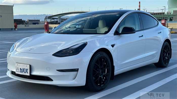 2021 Tesla Motors Others