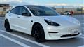 2021 Tesla Motors Others
