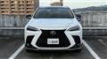 2025 Lexus NX