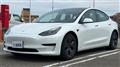 2021 Tesla Motors Others