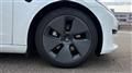 2021 Tesla Motors Others