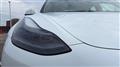 2021 Tesla Motors Others