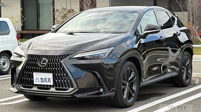 2023 Lexus NX