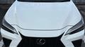 2025 Lexus NX