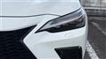 2025 Lexus NX