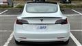 2022 Tesla Motors Others