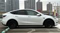 2025 Tesla Motors Others