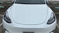2025 Tesla Motors Others