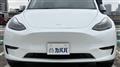 2025 Tesla Motors Others