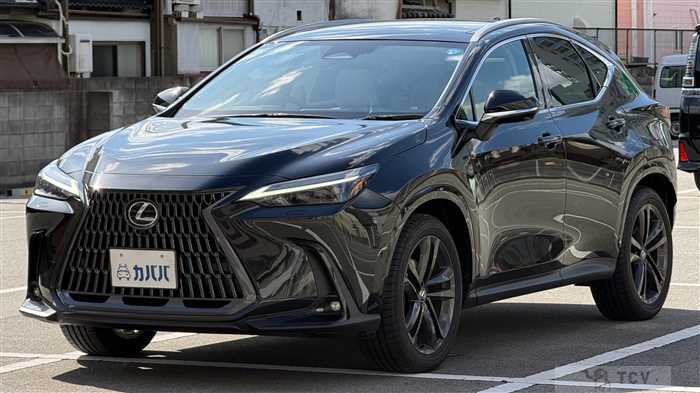 2025 Lexus NX