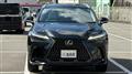 2025 Lexus NX