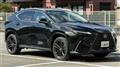 2025 Lexus NX