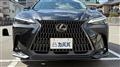 2025 Lexus NX