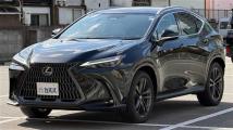 2025 Lexus NX