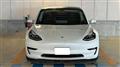 2020 Tesla Motors Others