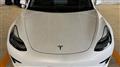 2020 Tesla Motors Others