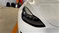 2020 Tesla Motors Others