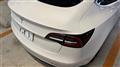 2020 Tesla Motors Others