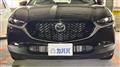 2020 Mazda Eunos Others