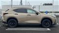 2024 Lexus NX