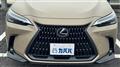 2024 Lexus NX