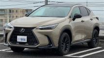 2024 Lexus NX