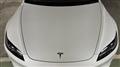 2023 Tesla Motors Others
