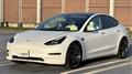 2021 Tesla Motors Others