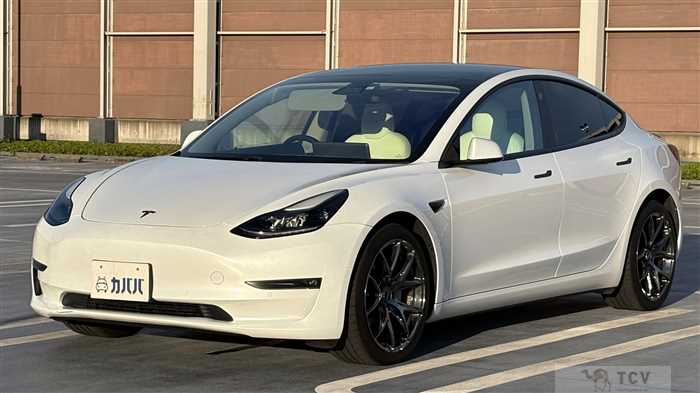 2021 Tesla Motors Others