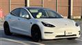 2021 Tesla Motors Others