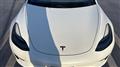 2021 Tesla Motors Others