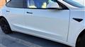 2021 Tesla Motors Others