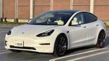 2021 Tesla Motors Others