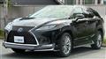 2019 Lexus RX