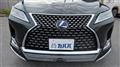 2019 Lexus RX