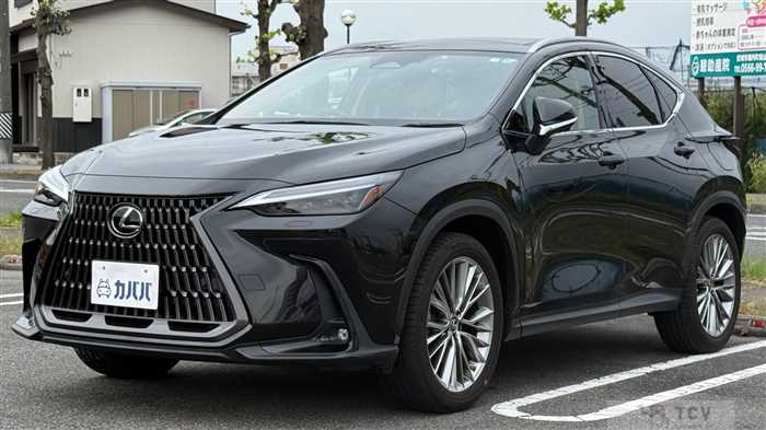 2023 Lexus NX