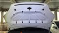 2020 Tesla Motors Others